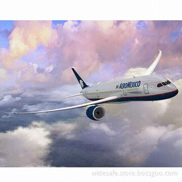 Shanghai Air Freight to Mexico, Door-to-door Service